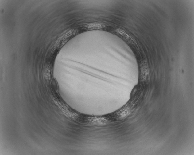 X0000076090379200610152324