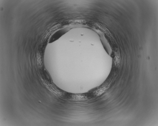 X0000076090380200610152324