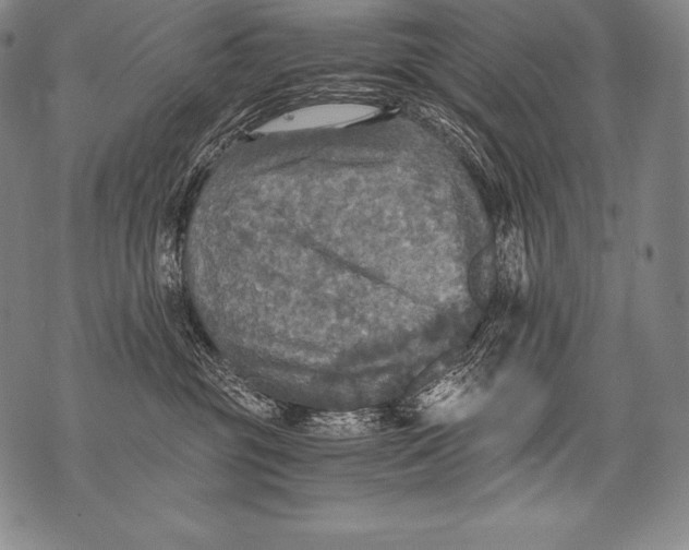 X0000076090381200610152324