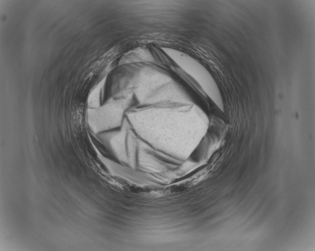 X0000076090382200610152324