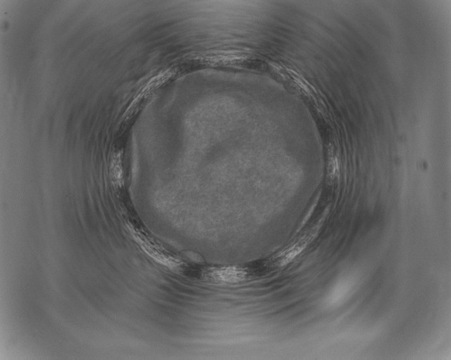 X0000076090383200610152324