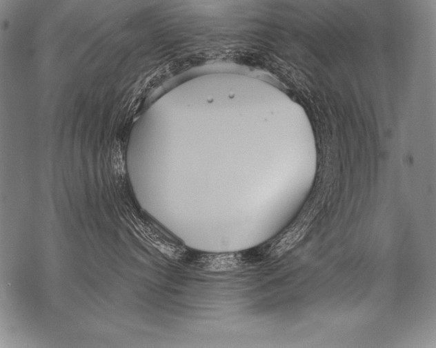 X0000076090384200610152324