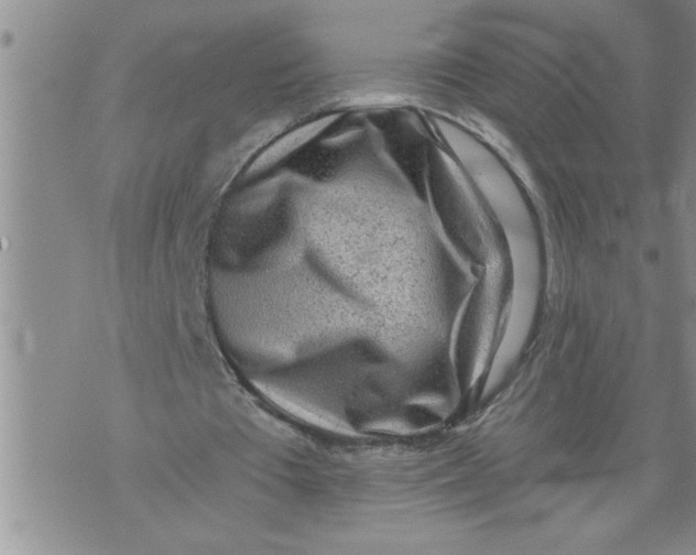 X0000076090385200610152324