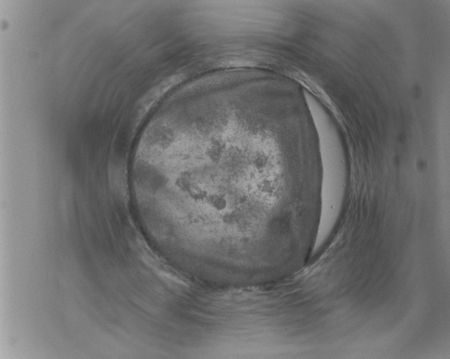 X0000076090386200610152324