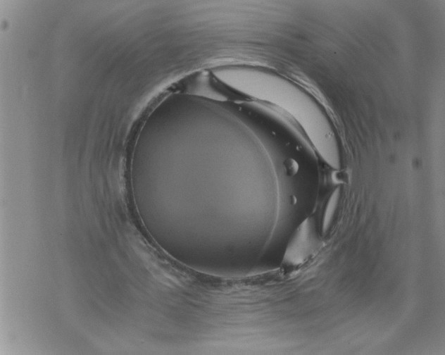 X0000076090387200610152324