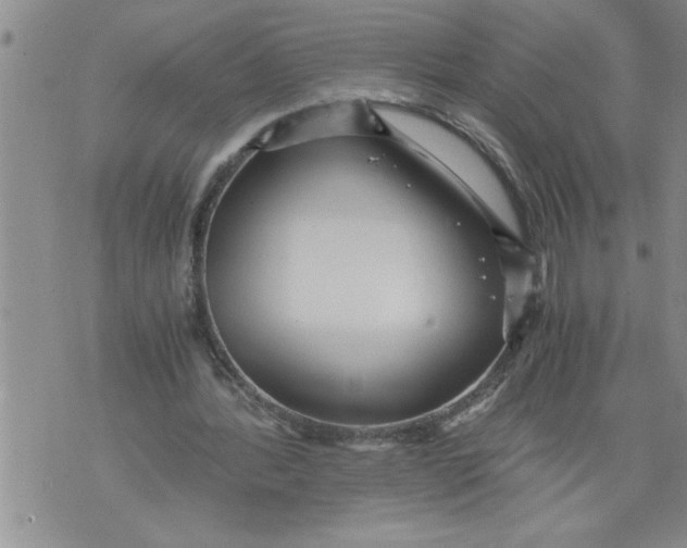 X0000076090388200610152324