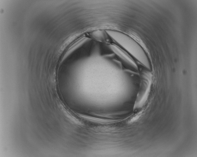 X0000076090389200610152324