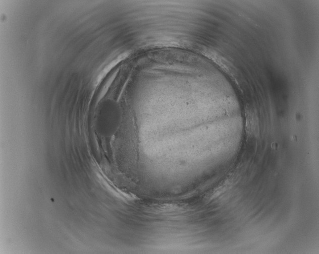 X0000076090390200610152324