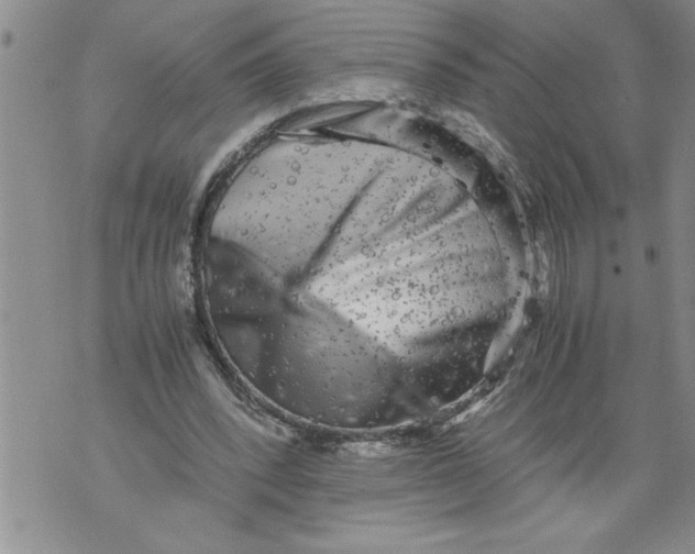 X0000076090392200610152324