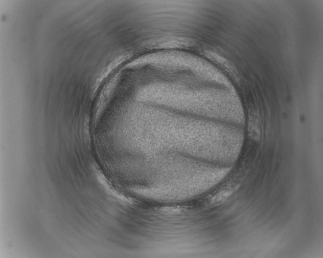 X0000076090394200610152324