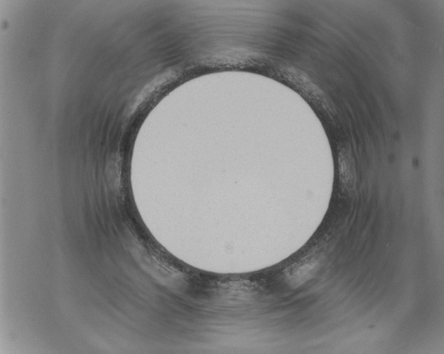 X0000076090396200610152323