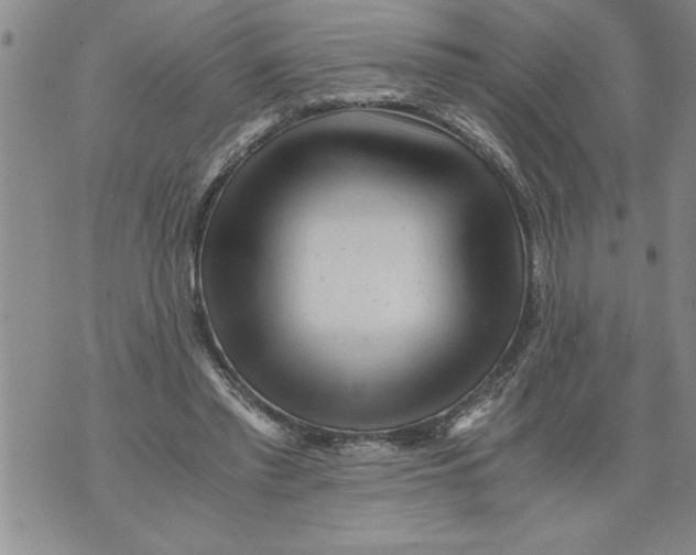 X0000076090397200610152323