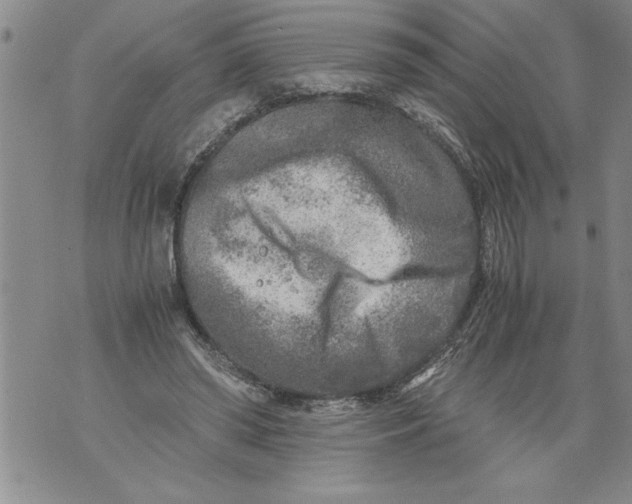 X0000076090398200610152323