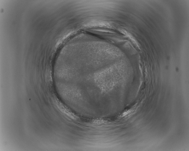 X0000076090399200610152323