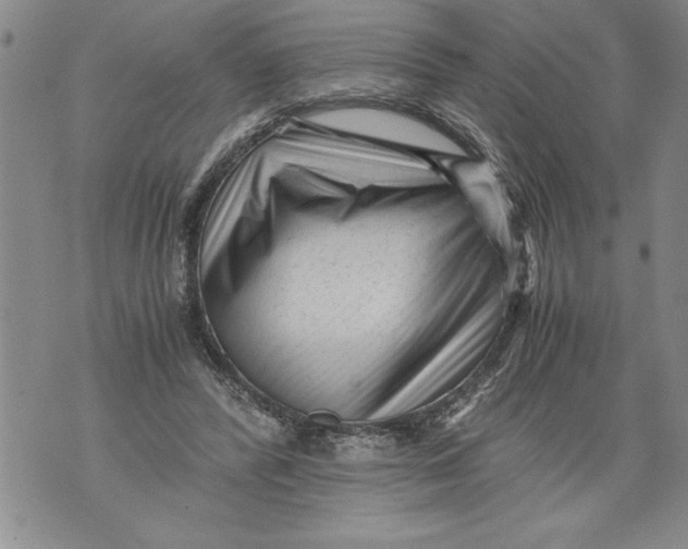 X0000076090400200610152323