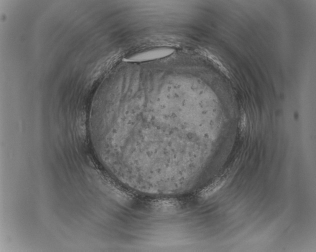 X0000076090402200610152323