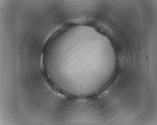 X0000076090404200610152323