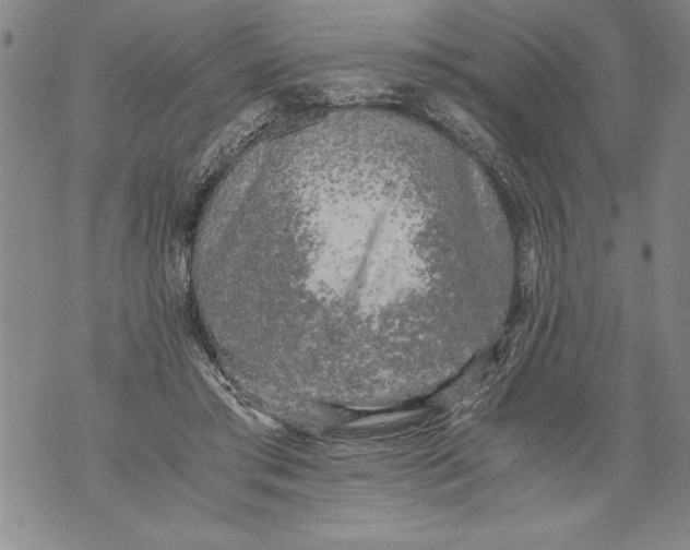 X0000076090405200610152323