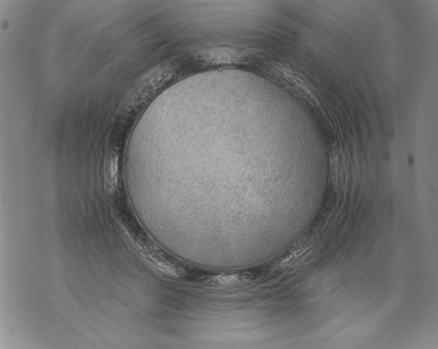 X0000076090406200610152323