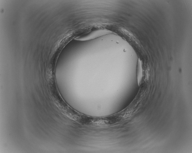 X0000076090407200610152323