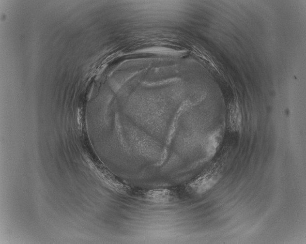 X0000076090410200610152323