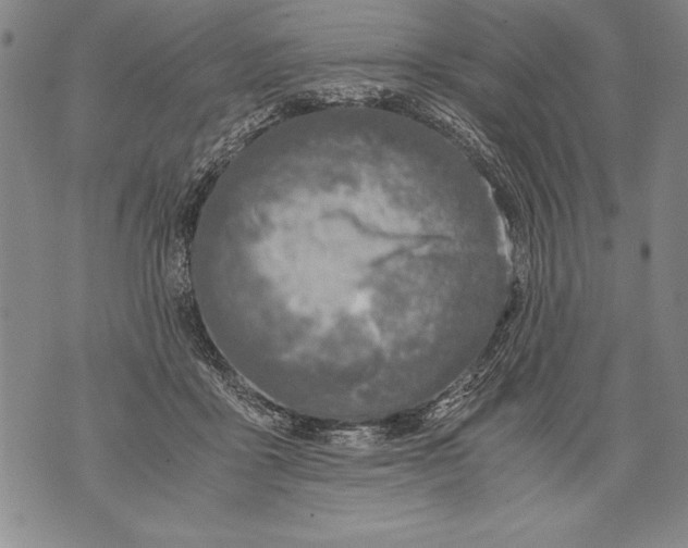 X0000076090411200610152323