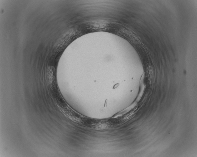 X0000076090412200610152323