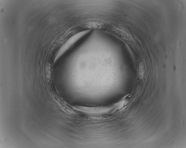 X0000076090413200610152323