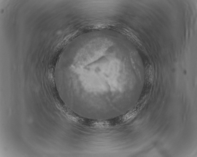 X0000076090415200610152323