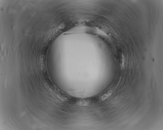 X0000076090416200610152323