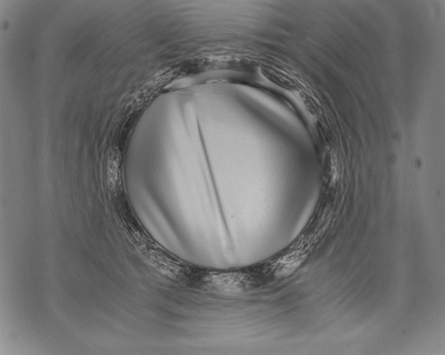 X0000076090417200610152323