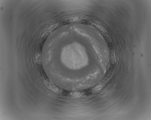 X0000076090419200610152323