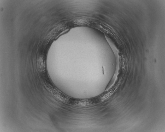 X0000076090420200610152323