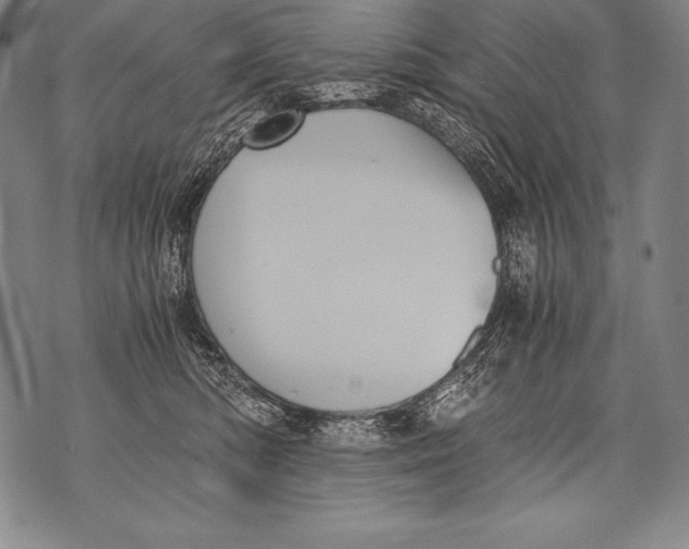 X0000076090422200610152323