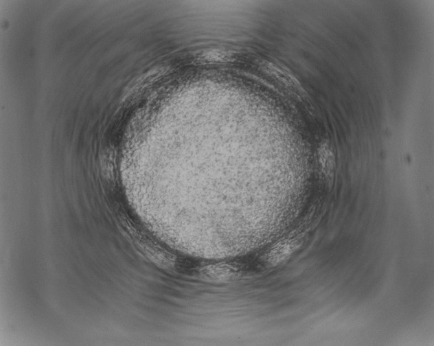 X0000076090423200610152323