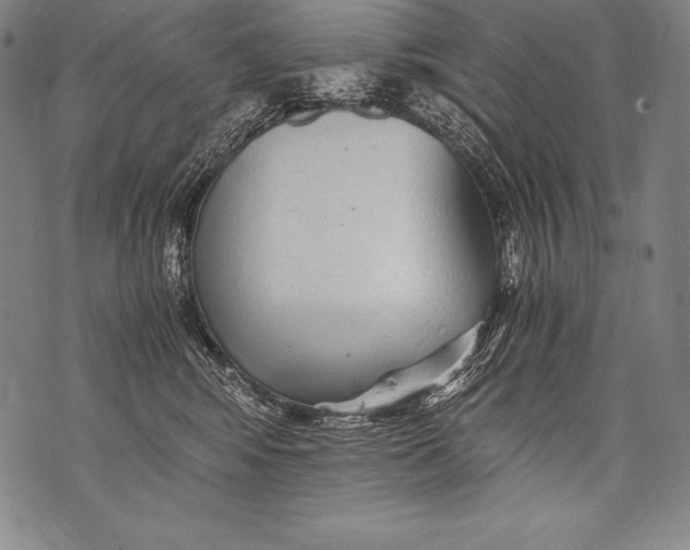 X0000076090424200610152323