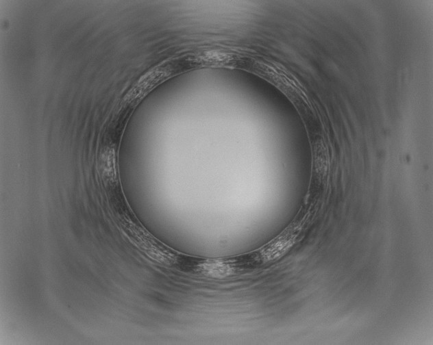 X0000076090425200610152323