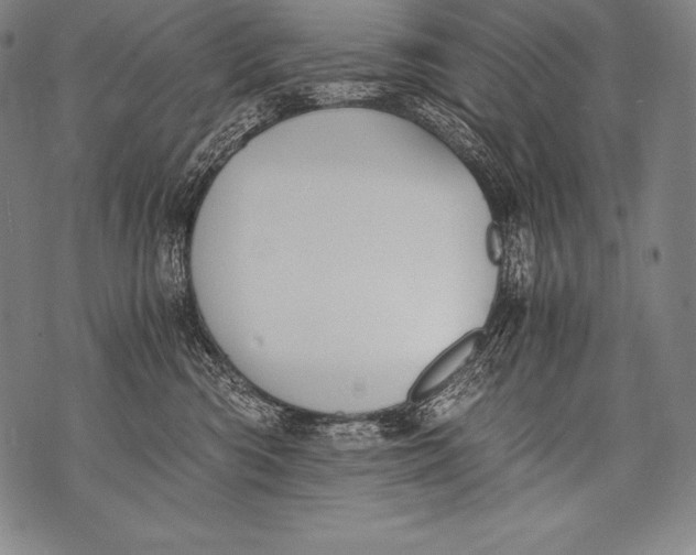 X0000076090426200610152323