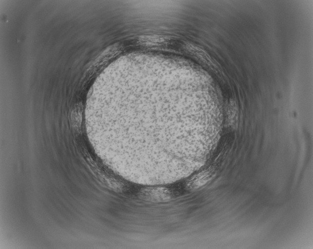 X0000076090427200610152323