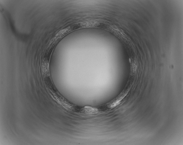 X0000076090429200610152323