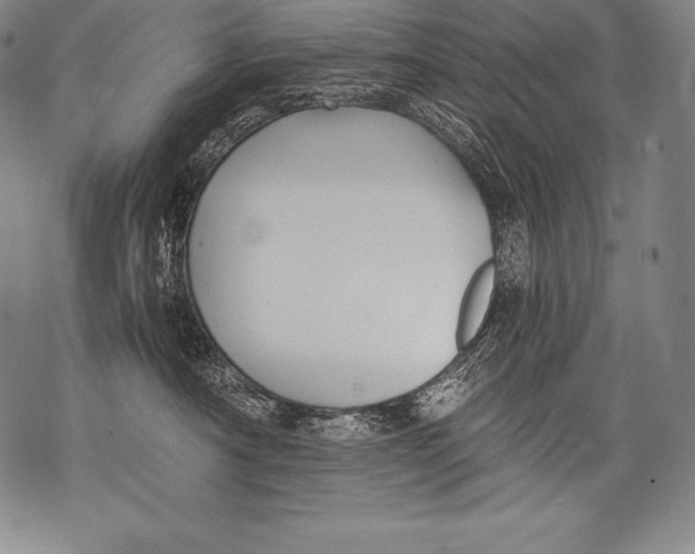 X0000076090430200610152323