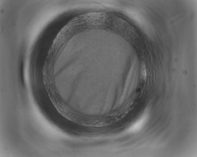 X0000076090431200610152323