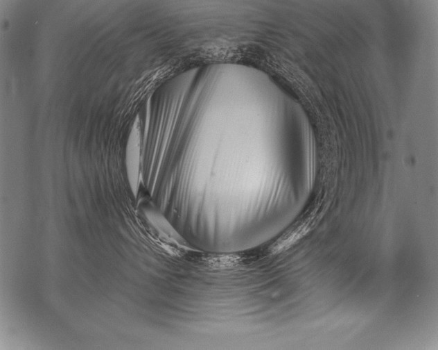 X0000076090432200610152323