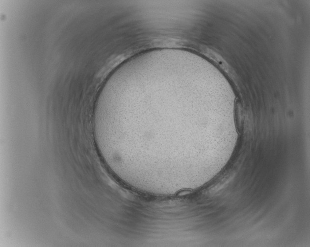 X0000076090433200610152322