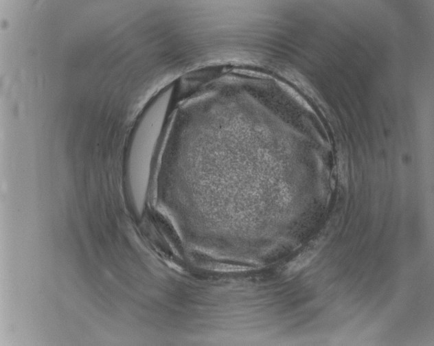 X0000076090434200610152322