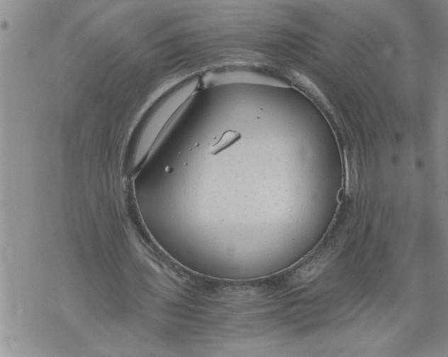 X0000076090435200610152322