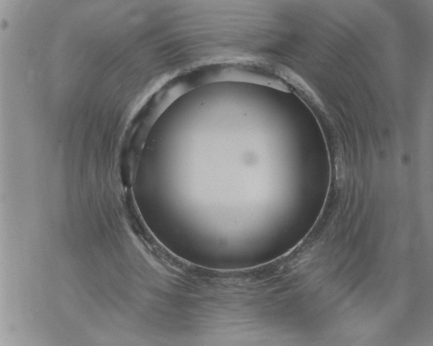 X0000076090436200610152322