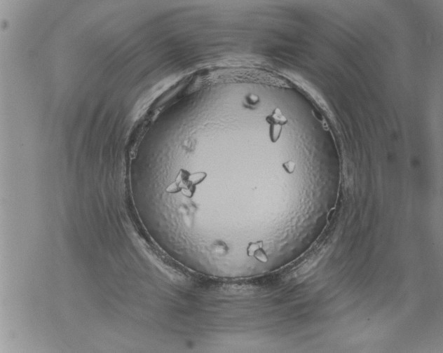 X0000076090437200610152322