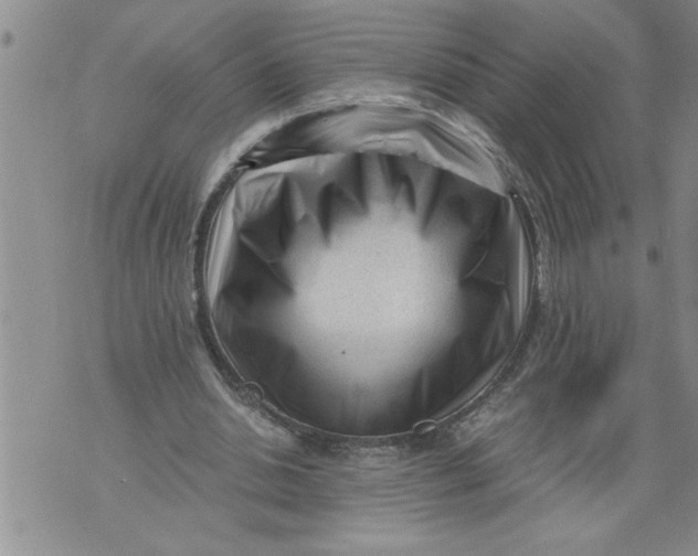 X0000076090438200610152322