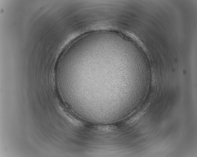 X0000076090439200610152322